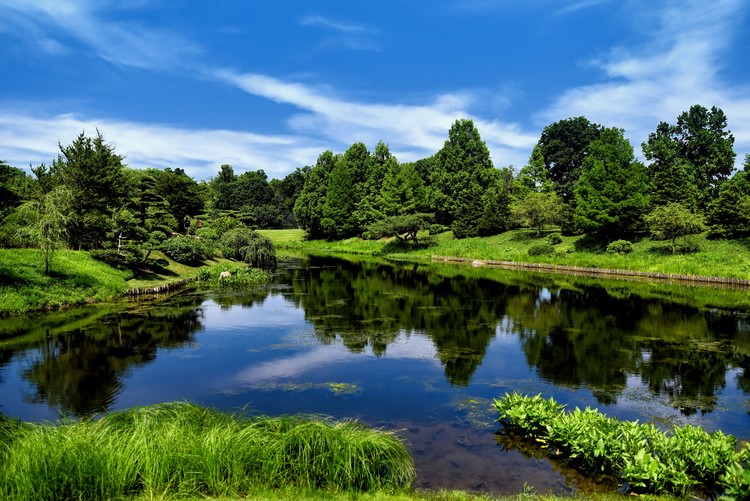 Biltmore Estate Grounds