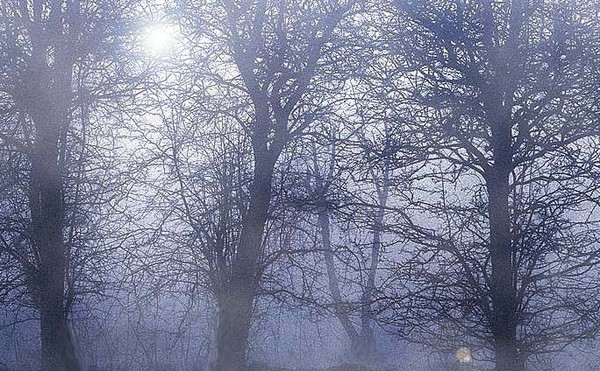 Blue Twilight.....