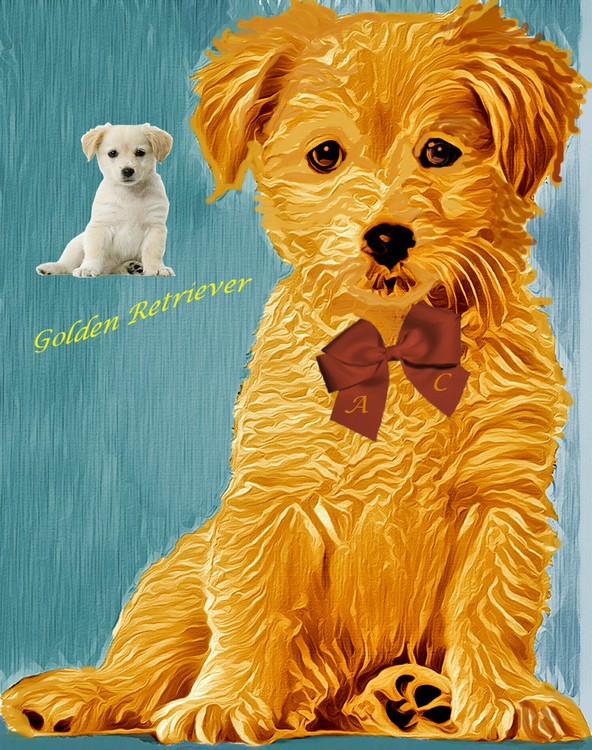 golden retriever 