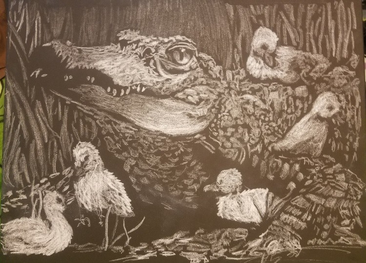 The patient gator ,and the Swamp chicks