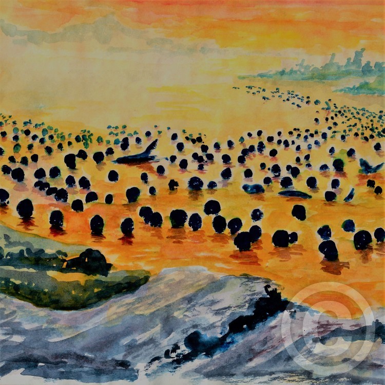 KELP (2)