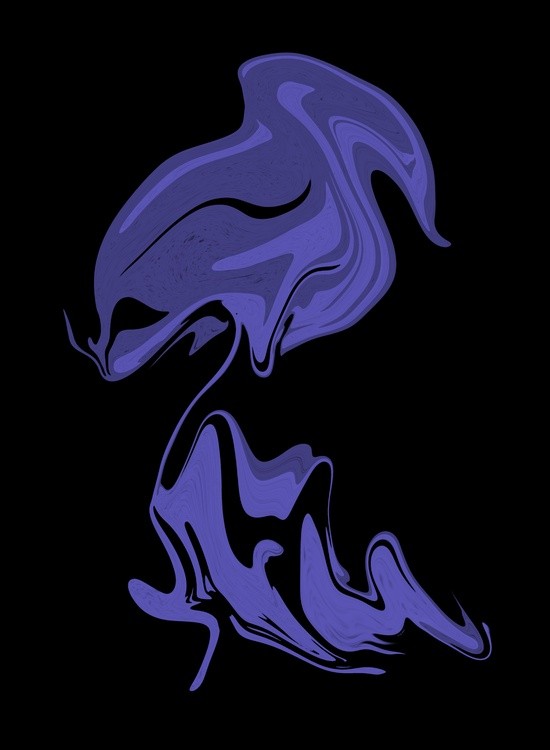 Name: Orchid