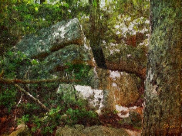 Lichens, Wood and Stone