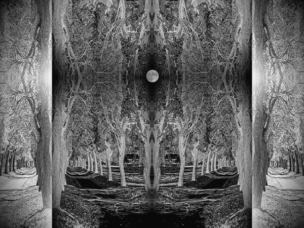 Wandering Into The Past