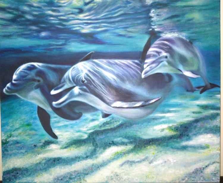 Dolphins 