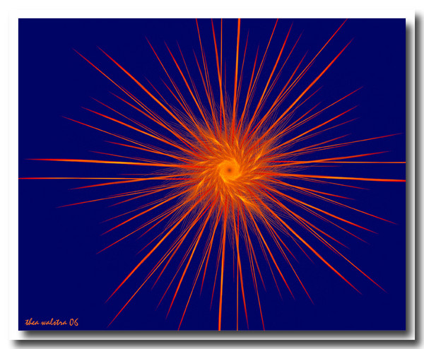 Summer night star
