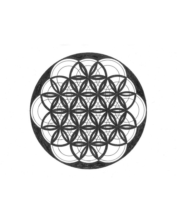 Flower Of Life Black White