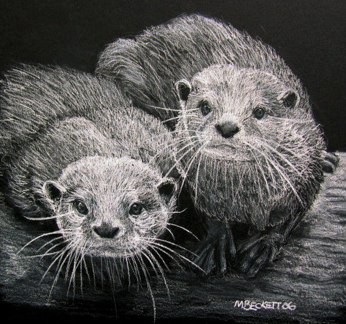 We Otter Be In Pictures