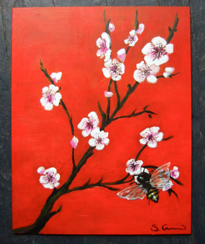 Cherry Blossoms & Bee