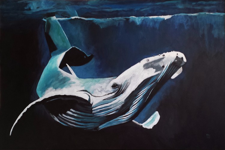 Humpback Whale
