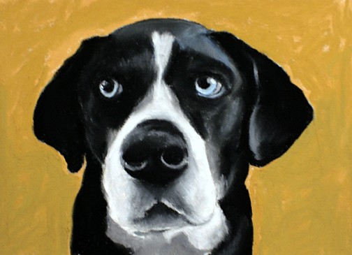 seamus