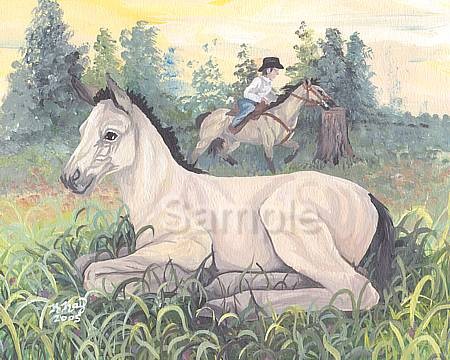 Quarter Horse Buckskin Foal Dreamer