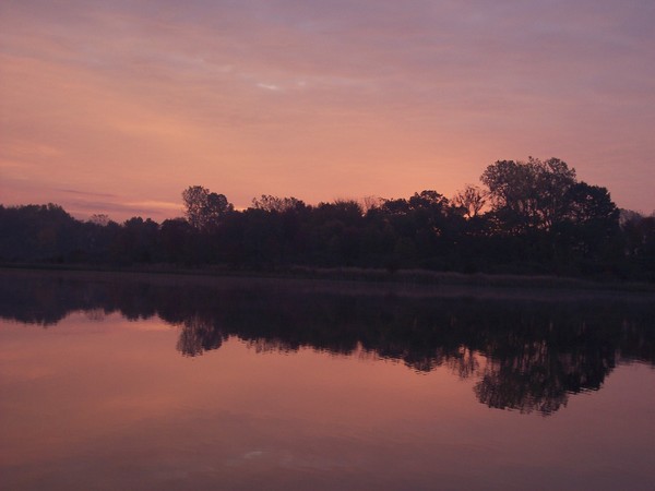 Summer Sun Rise