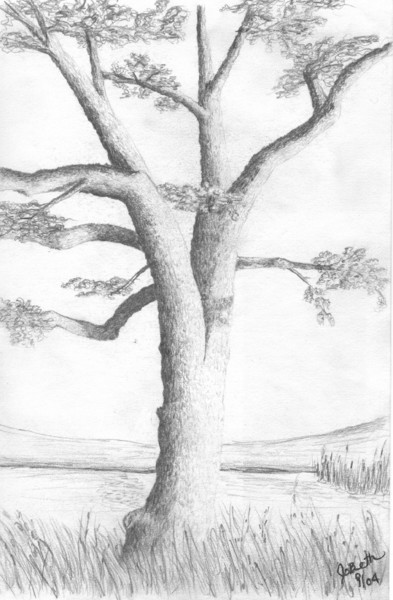 Tree Study
