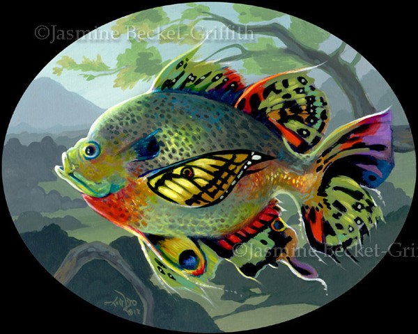 Poissons Volants : Étude II