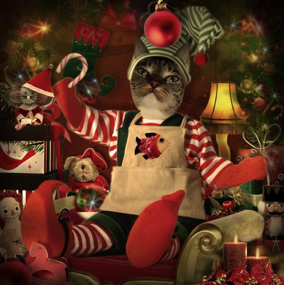 Kitty Elf Xmas