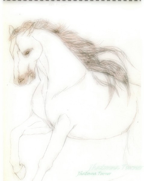 Horse Legacy