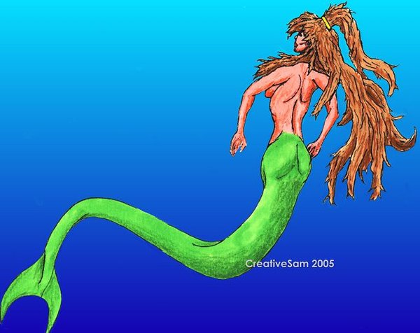 Mermaid Dorsal View