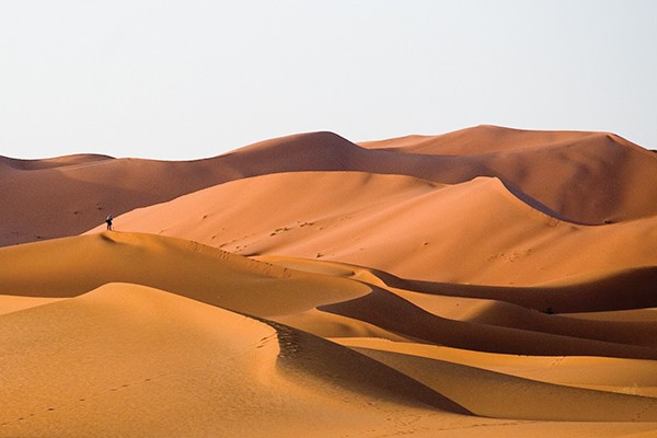 JJ, Early Morning in the Dunes