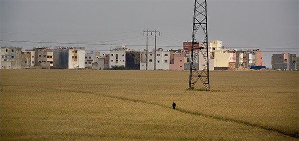 Man in Field, Morocco