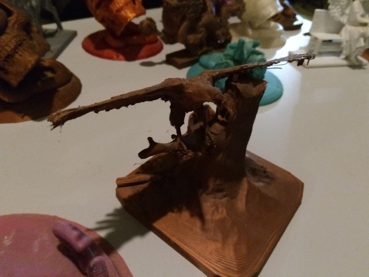 EagleCopr1