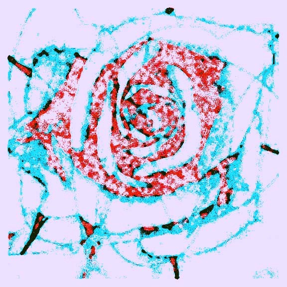 rose 6