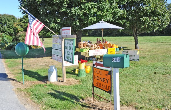 Veggie Stand