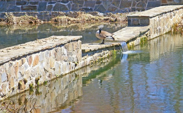 Wall on Winterthur Pond