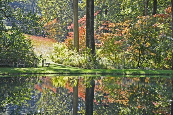 Mount Cuba Reflections