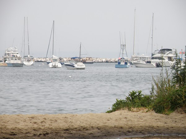 Harbor II