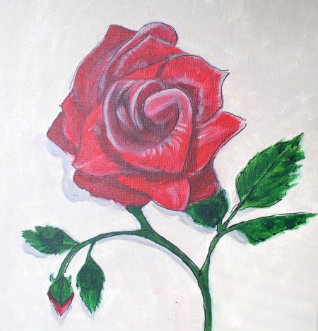 rose