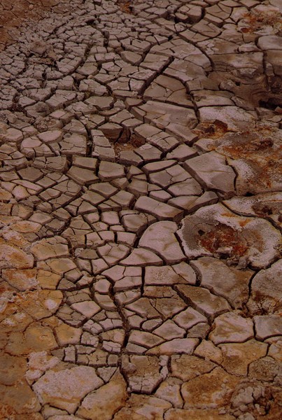 Dired  Mud Near Hekla  Iceland