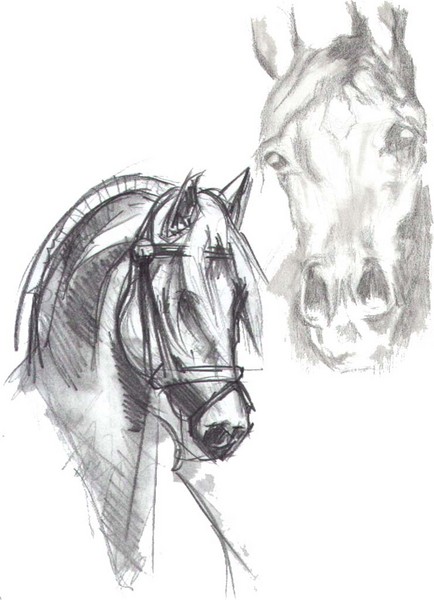 Horses