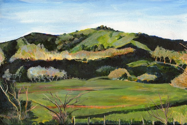 On the way to Opotiki