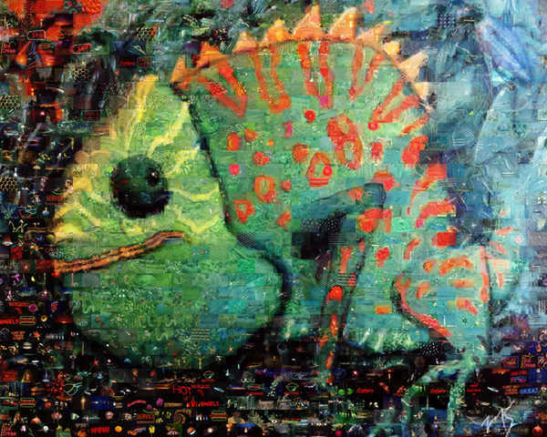 Chameleon montage