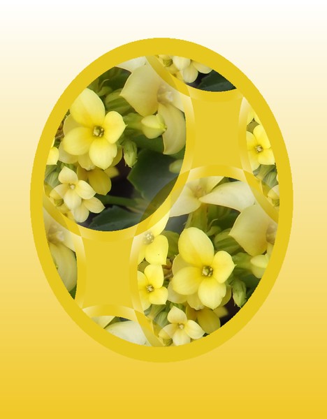 Specially Shaped Flowers (One)