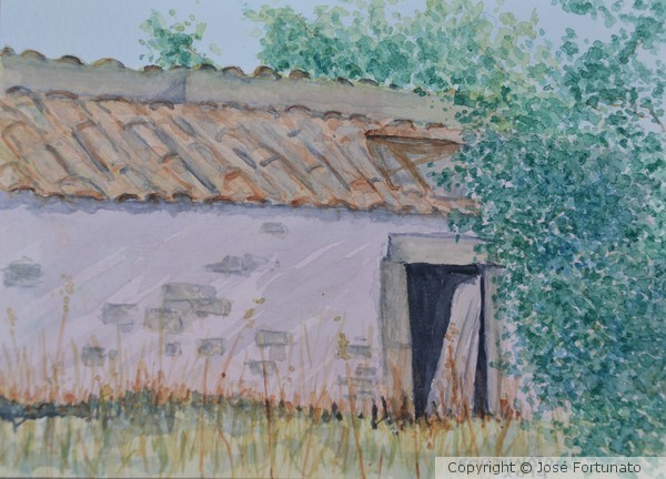 Minha Pátria Abandonada