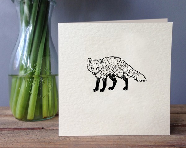 Fox