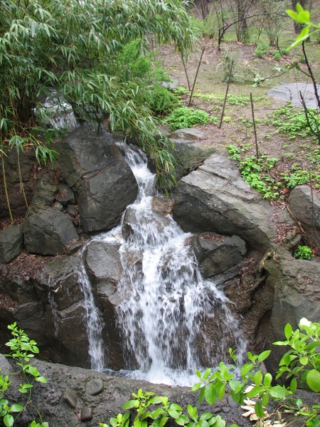 Bronx Zoo waterfall