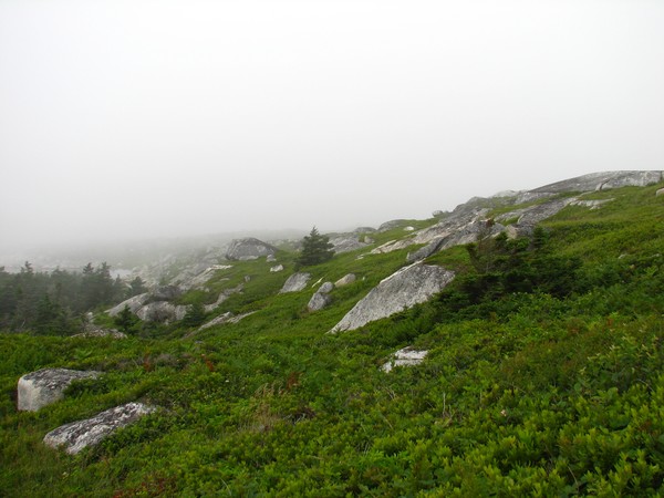 More Peggy's cove preservation area