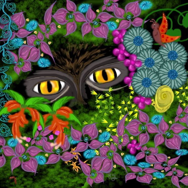 Eyes in the forest