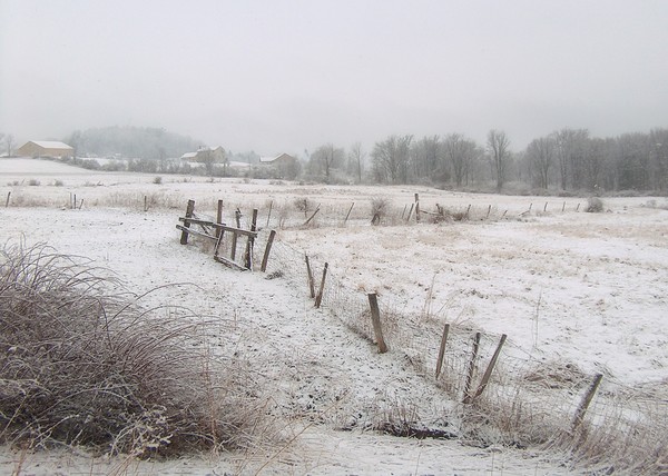 snowy landscape