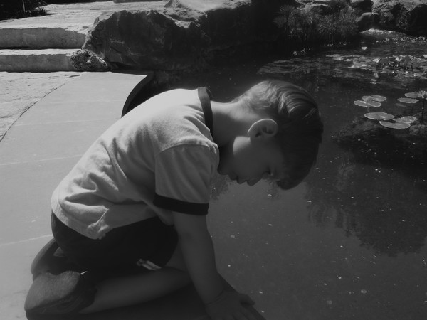 Looking into the Water