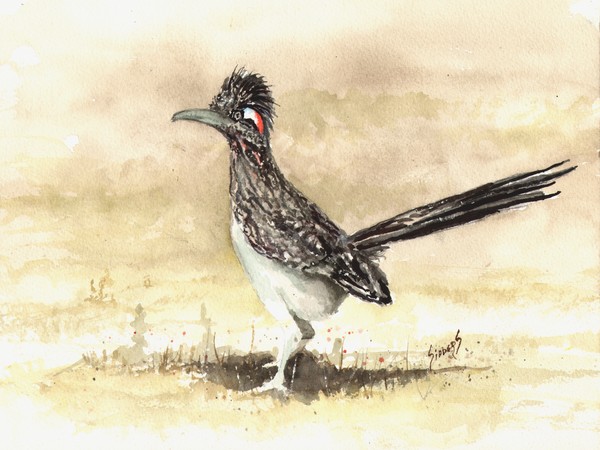 Roadrunner
