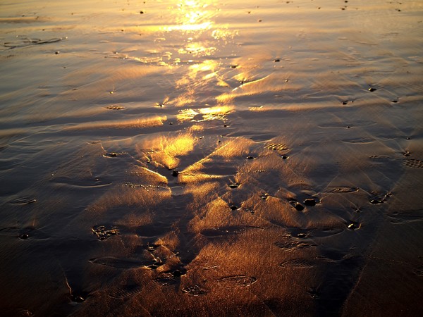 Pattern from the Sea