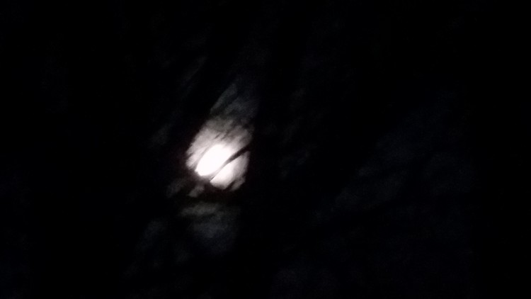 20180330 203558