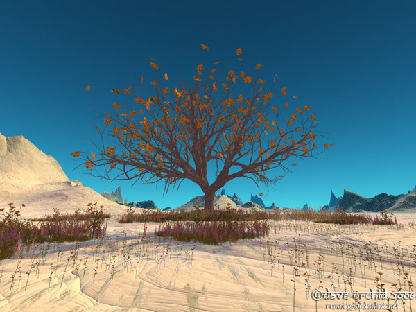 The Old Oak Tree