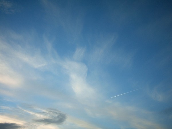 ANGEL NOV SKY2