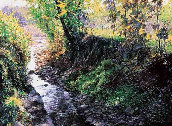 Tiny River