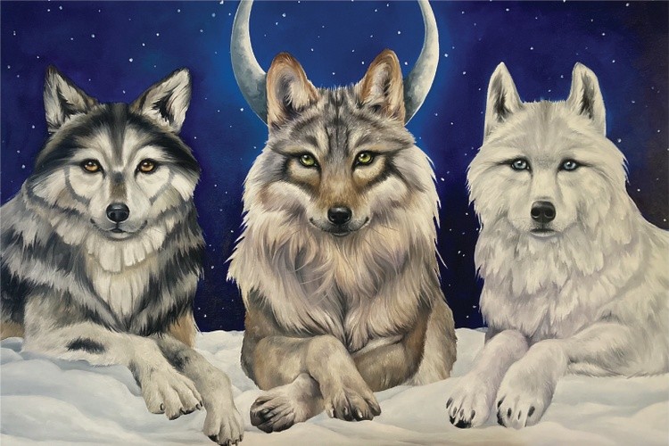 3 wolves